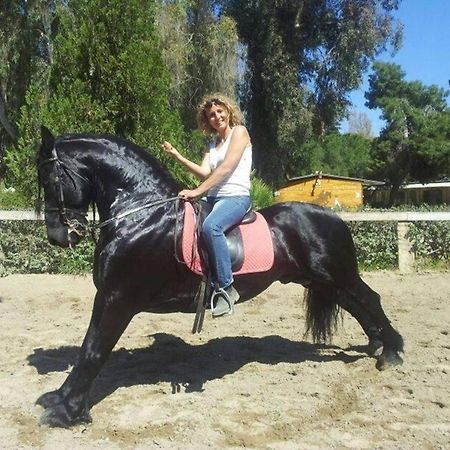 Agriturismo Vita E Natura Βίλα Νότο Εξωτερικό φωτογραφία