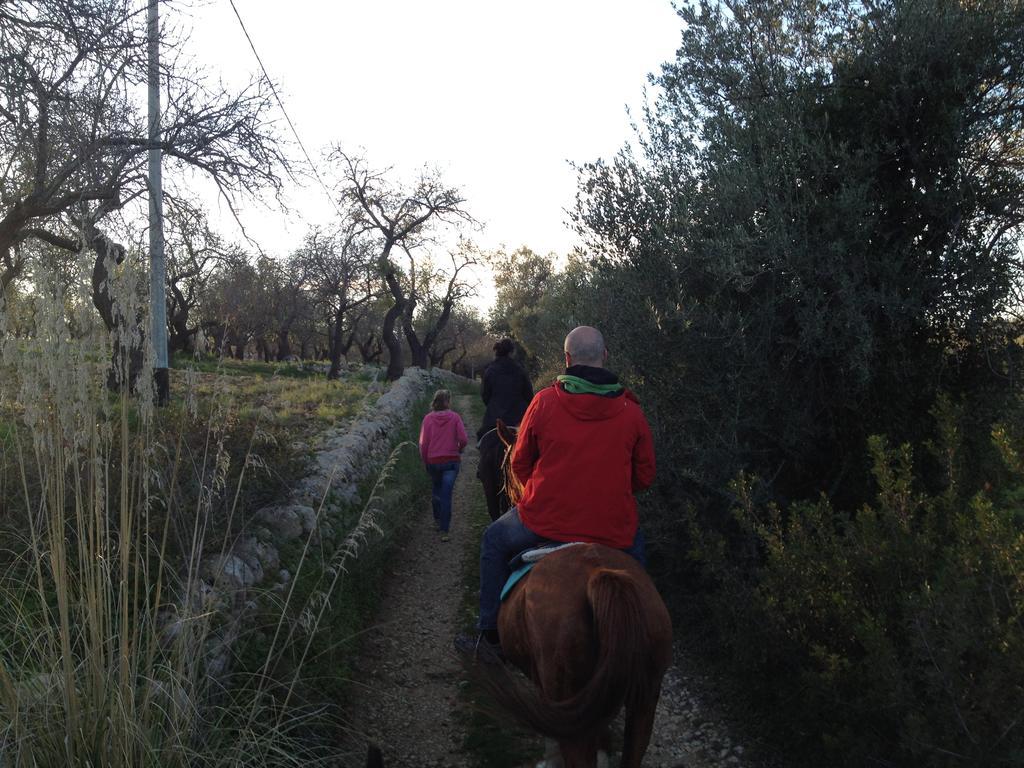 Agriturismo Vita E Natura Βίλα Νότο Εξωτερικό φωτογραφία