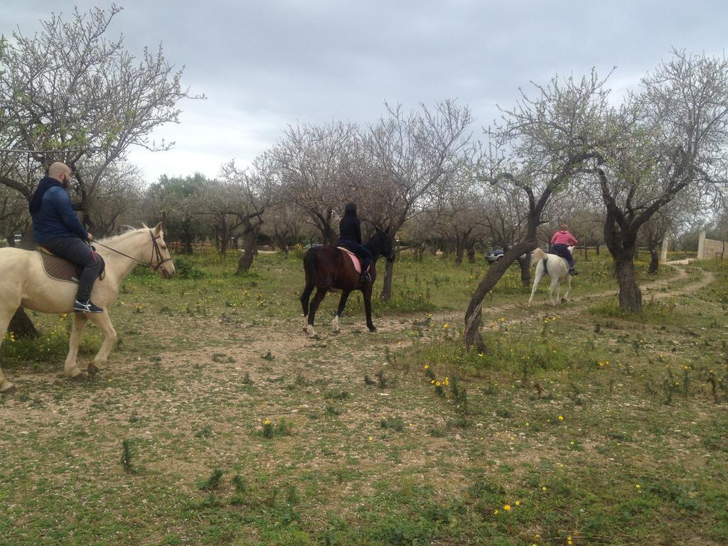 Agriturismo Vita E Natura Βίλα Νότο Εξωτερικό φωτογραφία