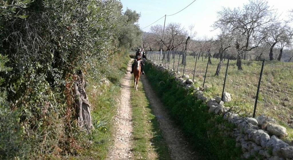 Agriturismo Vita E Natura Βίλα Νότο Εξωτερικό φωτογραφία
